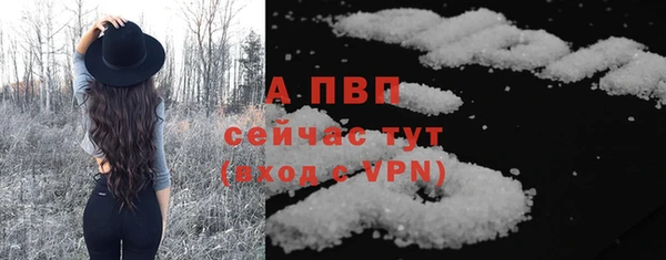 мяу мяу мука Абаза