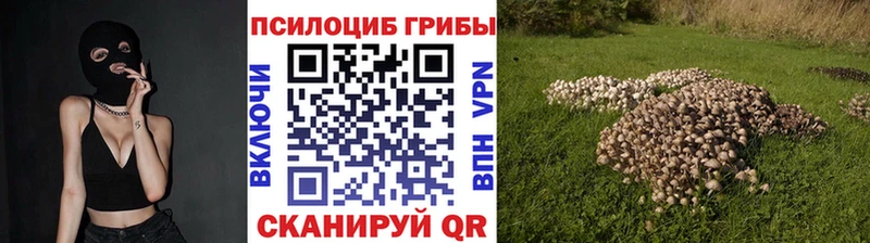 где купить наркотик  Заозёрный  Псилоцибиновые грибы Psilocybe 